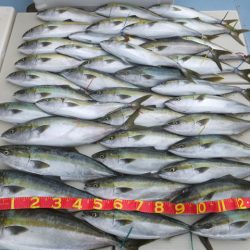 Hit Rush(ヒット ラッシュ） 釣果