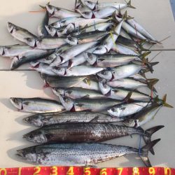 Hit Rush(ヒット ラッシュ） 釣果