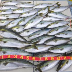 Hit Rush(ヒット ラッシュ) 釣果