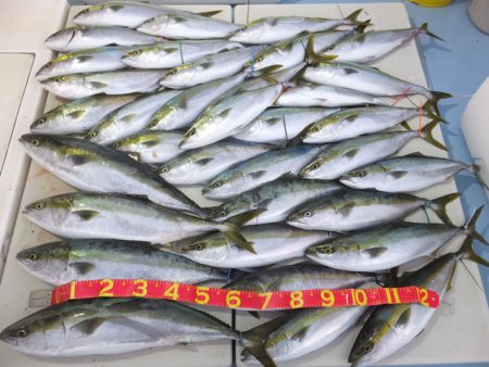 Hit Rush(ヒット ラッシュ） 釣果…