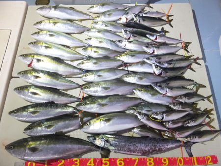 Hit Rush(ヒット ラッシュ） 釣果…