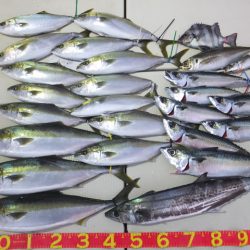 Hit Rush(ヒット ラッシュ） 釣果