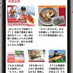 つりそく／ルアーニュースＲ／Vish