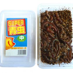 フィッシングTポート