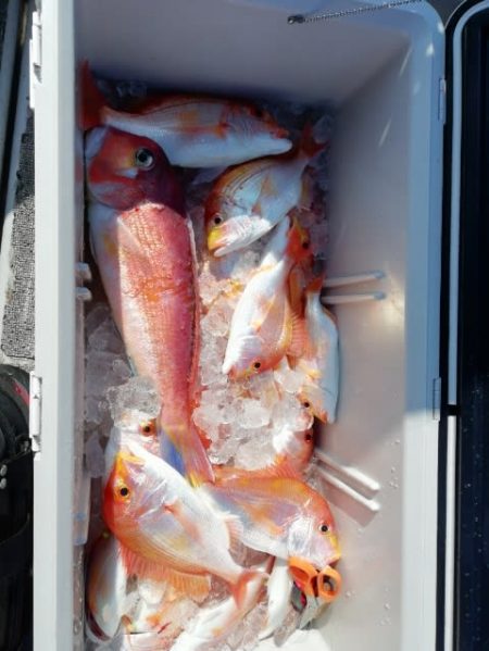 第二大福丸 釣果