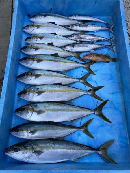 まるいち丸 ZERO-1 釣果