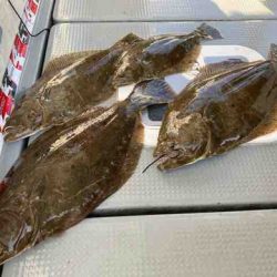 遊漁船 セトマリン 釣果