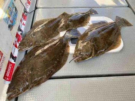 遊漁船 セトマリン 釣果