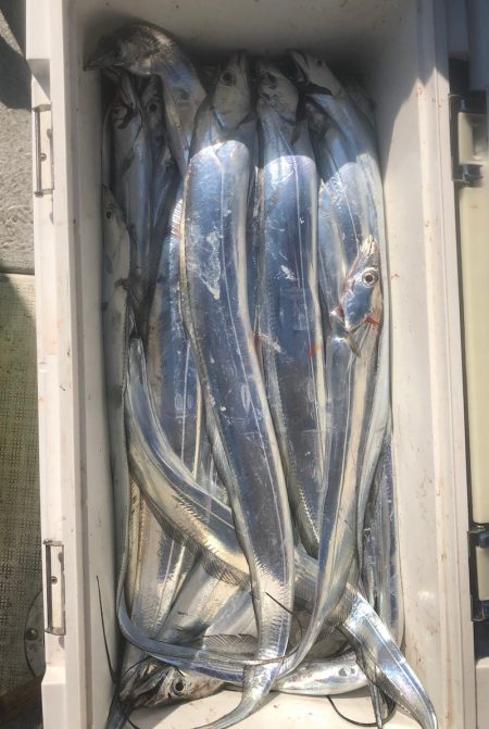 フィッシング　キッタカ 釣果