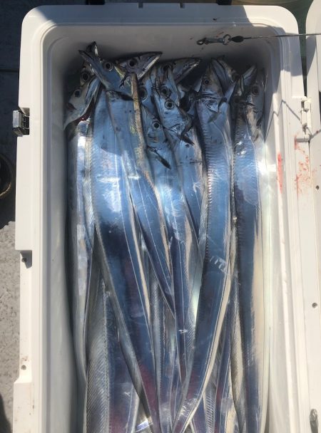 フィッシング　キッタカ 釣果