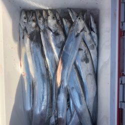 フィッシング　キッタカ 釣果