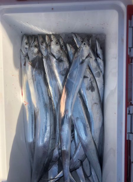 フィッシング　キッタカ 釣果