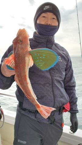 遊漁船 ニライカナイ 釣果