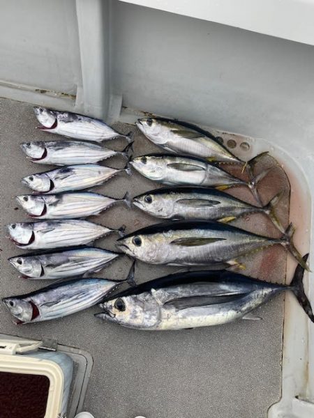 へいみつ丸 釣果