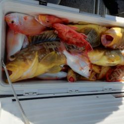 第二大福丸 釣果