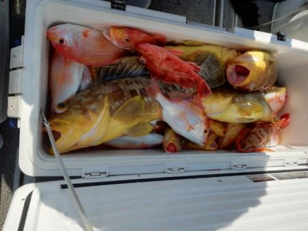 第二大福丸 釣果