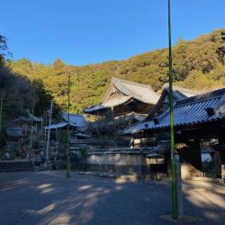 へいみつ丸 釣果