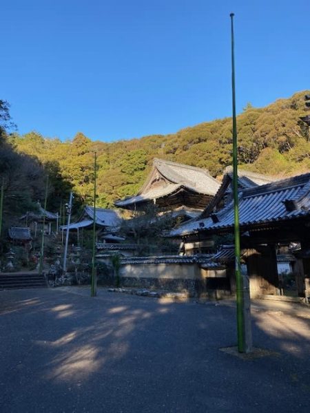 へいみつ丸 釣果