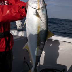 まるいち丸 ZERO-1 釣果