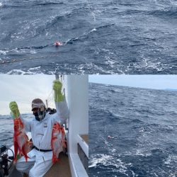 番匠高宮丸 釣果