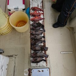 たかみ丸 釣果