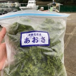 へいみつ丸 釣果