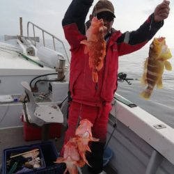 第二大福丸 釣果