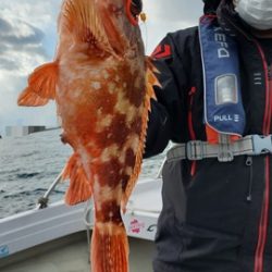 遊漁船 ニライカナイ 釣果