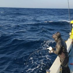 第五慶門丸 釣果