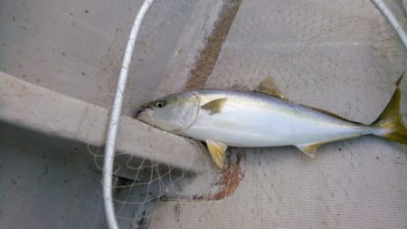 弘福丸 釣果