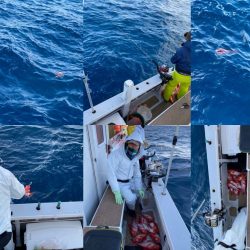 番匠高宮丸 釣果