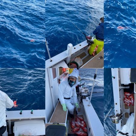 番匠高宮丸 釣果