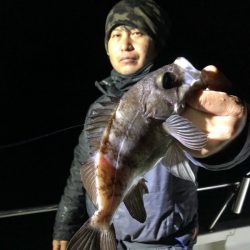 Magic（マジック） 釣果