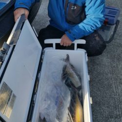 第五慶門丸 釣果