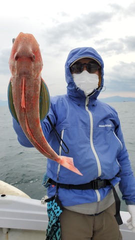 遊漁船 ニライカナイ 釣果