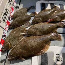 遊漁船 セトマリン 釣果