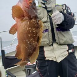 遊漁船　ニライカナイ 釣果