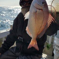 遊漁船　ニライカナイ 釣果