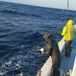 第五慶門丸 釣果