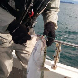 弘福丸 釣果