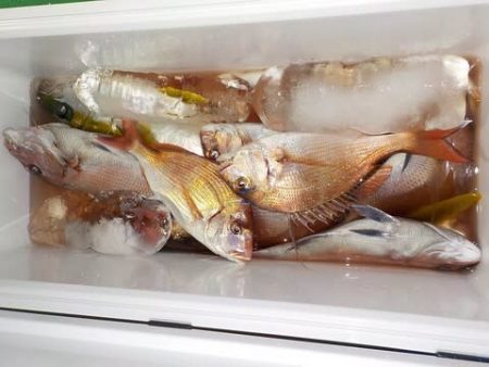 第二むつ漁丸 釣果