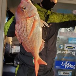 遊漁船　ニライカナイ 釣果