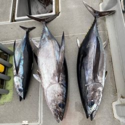 へいみつ丸 釣果