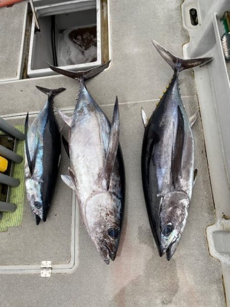 へいみつ丸 釣果