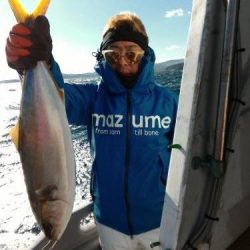 ファイヤードルフィン 釣果