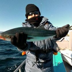 ファイヤードルフィン 釣果