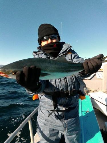 ファイヤードルフィン 釣果