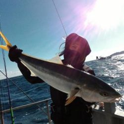 ファイヤードルフィン 釣果