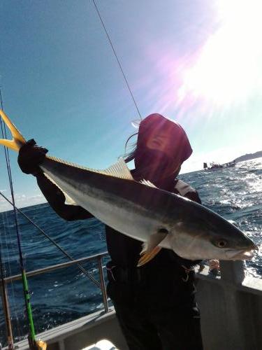 ファイヤードルフィン 釣果