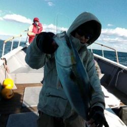 ファイヤードルフィン 釣果